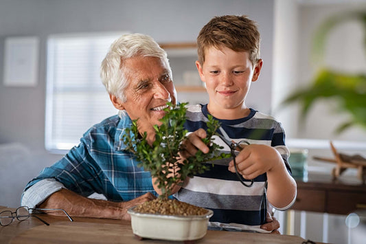 Essential Bonsai Tools for Beginners and What They Do