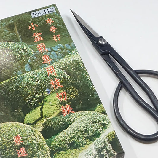 Japanese Made Bonsai Scissors - 17cm