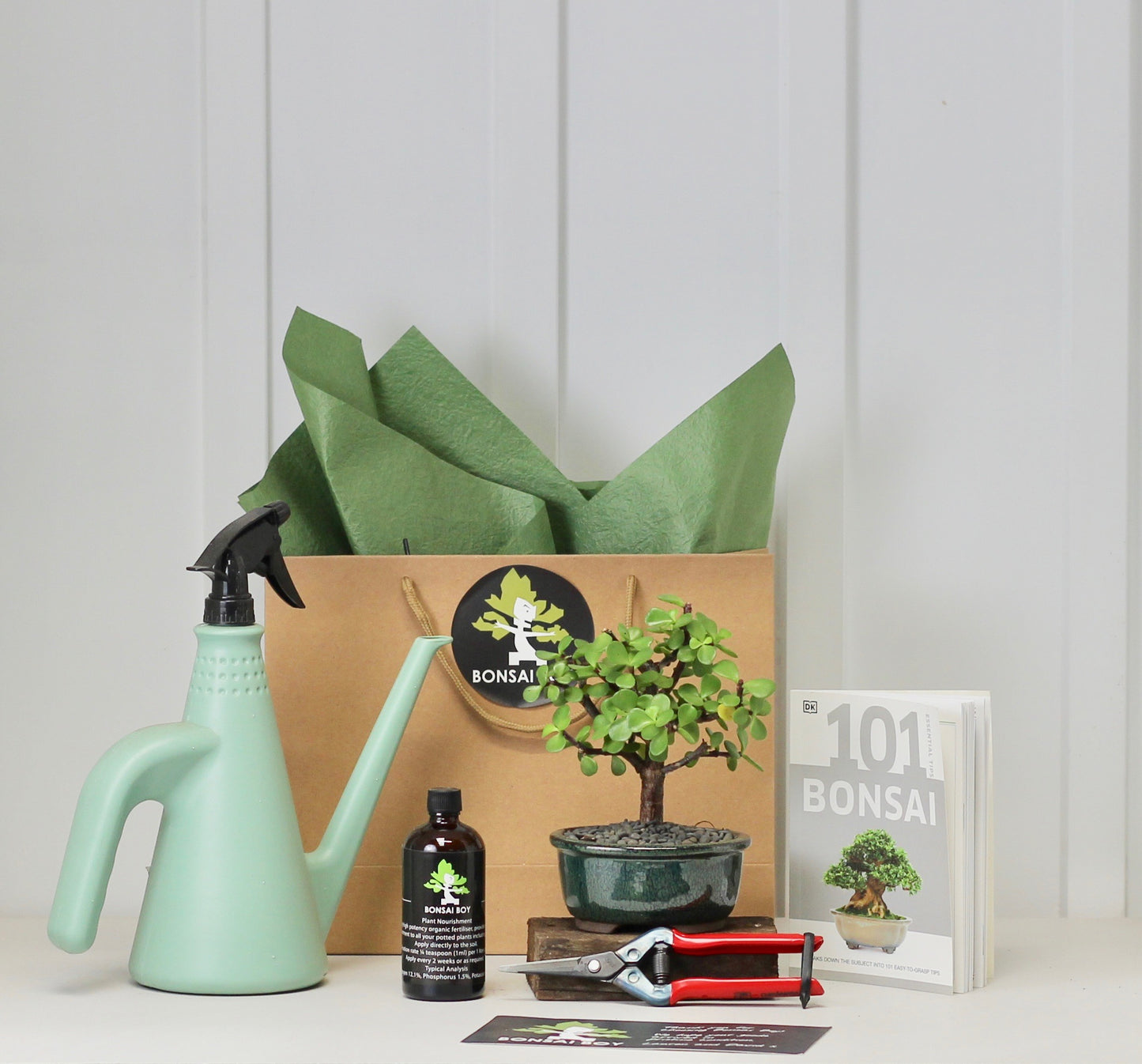 Bonsai Starter Kit - クラッスラ (kura-ssu-ra) - Botan - 20cm