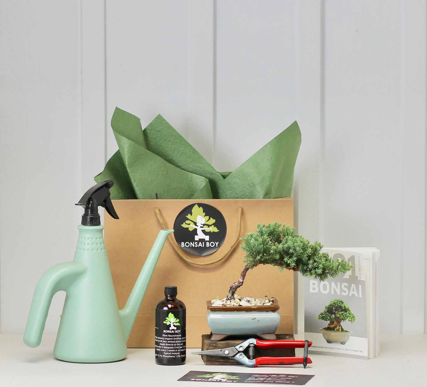 Bonsai Starter Kit - ジュニパー (Junipā) - Junko - 16cm