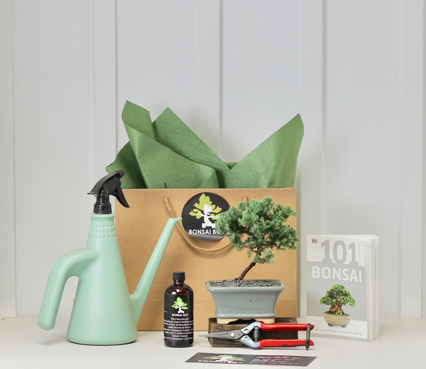 Bonsai Starter Kit - ジュニパー (Junipā) - Tsubame - 16cm