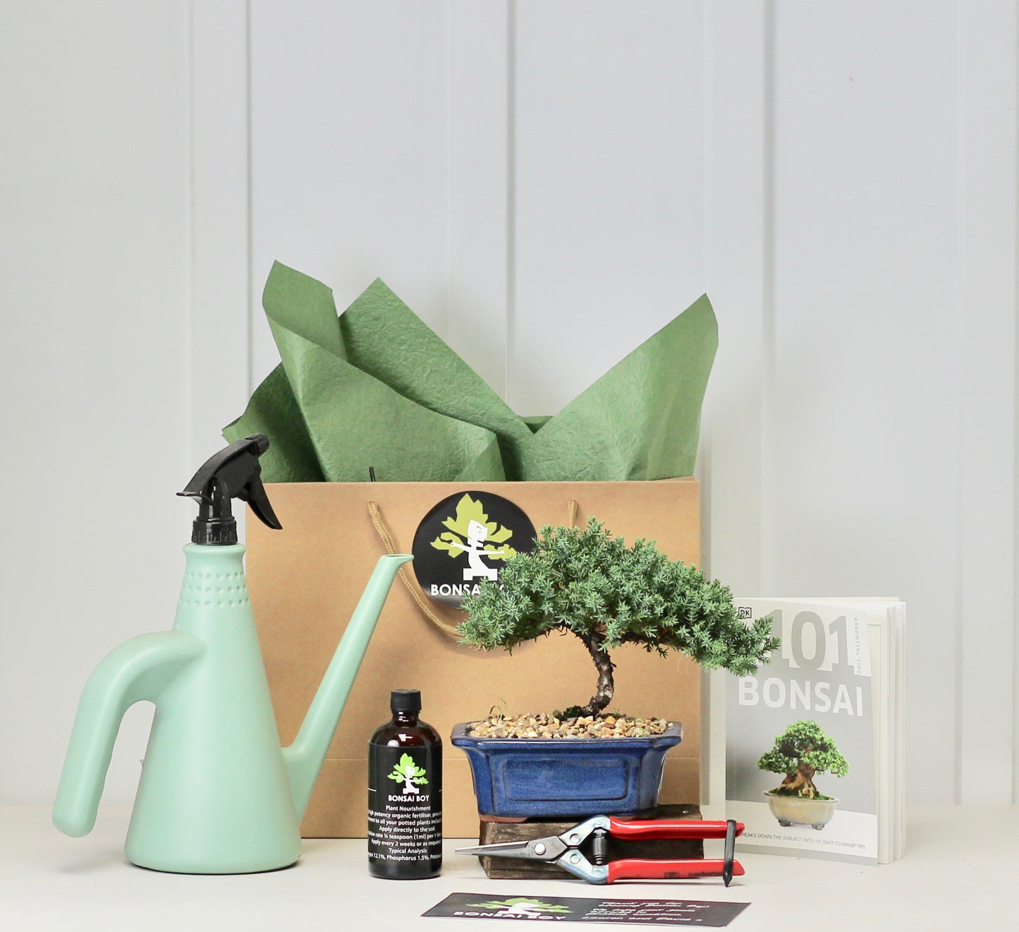 Bonsai Starter Kit - ジュニパー (Junipā) - Tsumugi - 16cm
