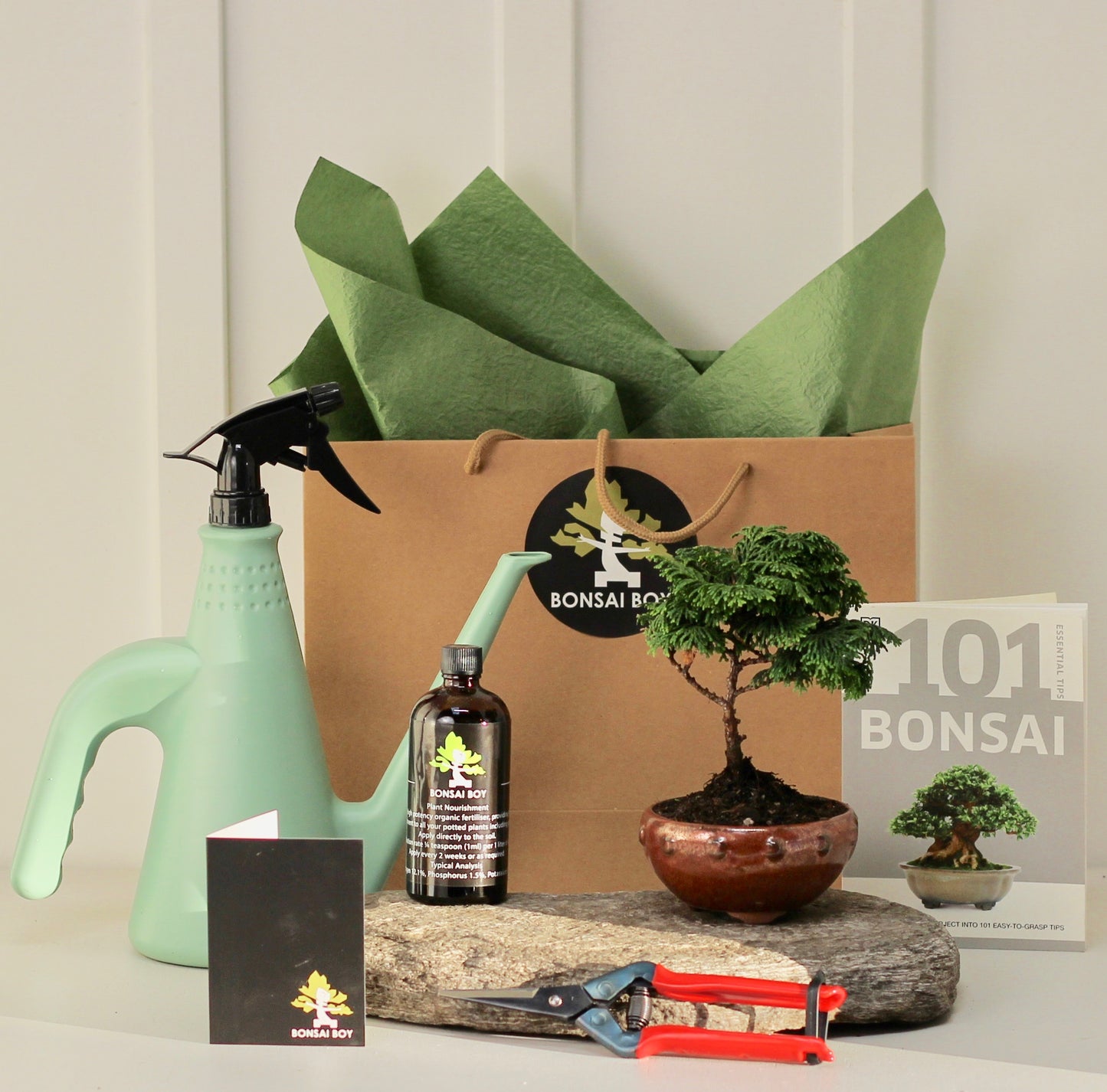 Bonsai Starter Kit - 針葉樹 (Shin'yōju) - 16cm