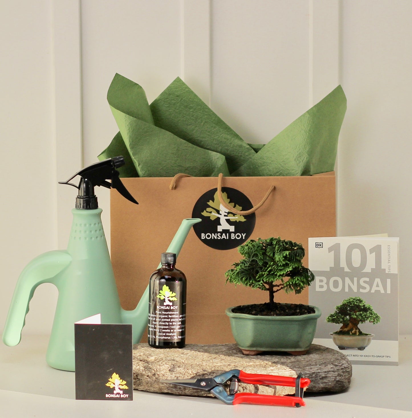 Bonsai Starter Kit - 針葉樹 (Shin'yōju) - 16cm
