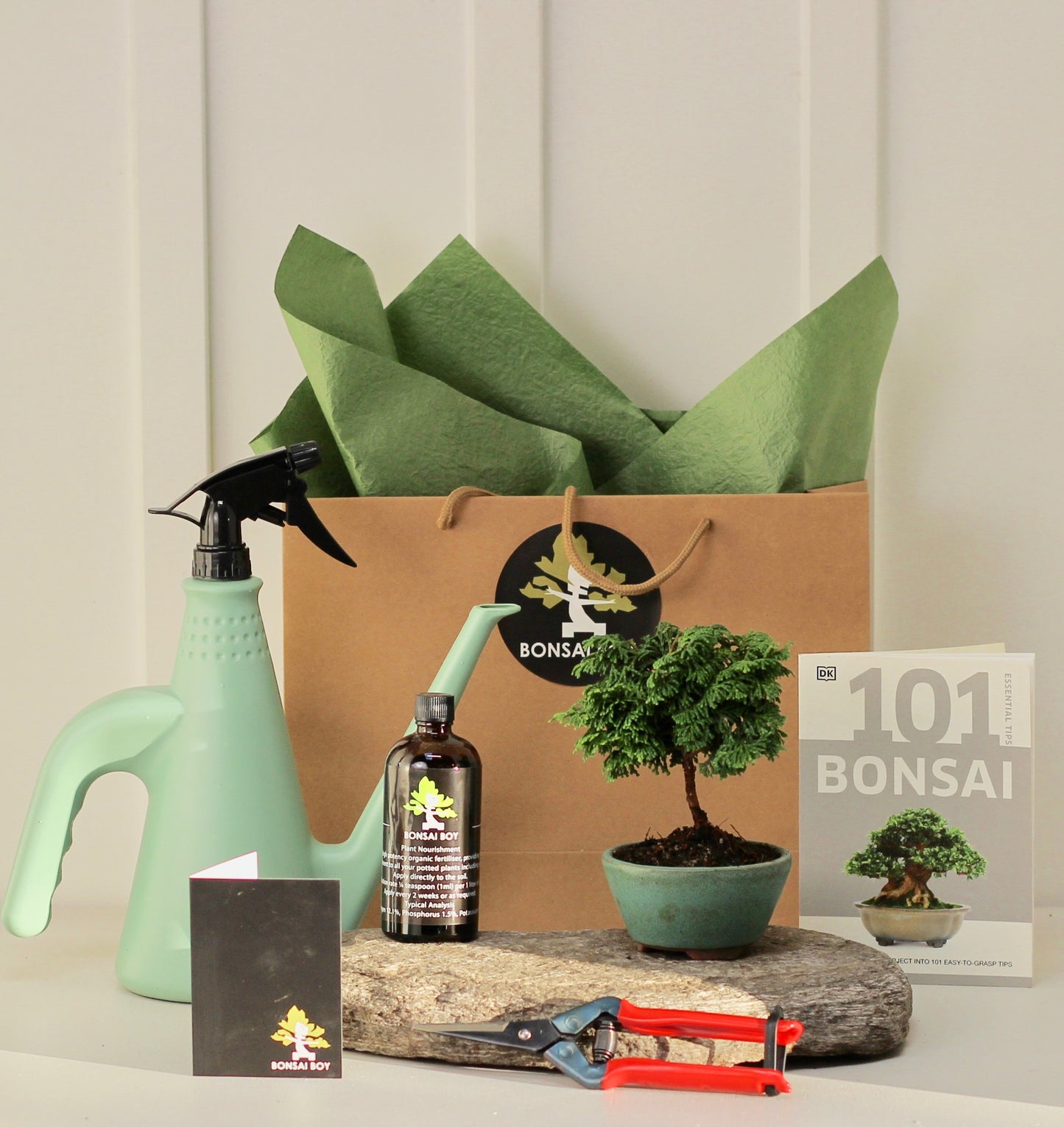 Bonsai Starter Kit - 針葉樹 (Shin'yōju) - 16cm