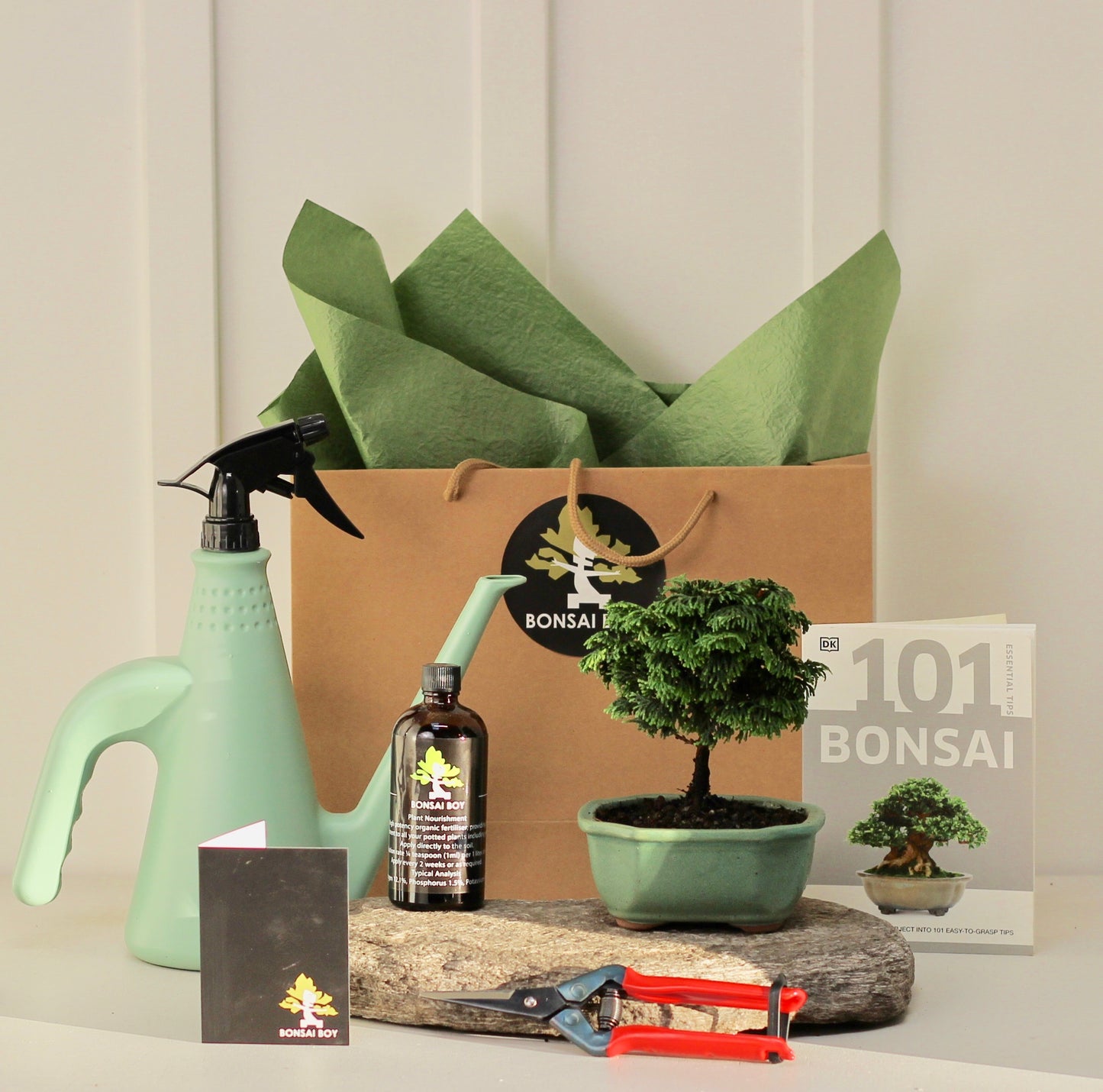 Bonsai Starter Kit - 針葉樹 (Shin'yōju) - 16cm