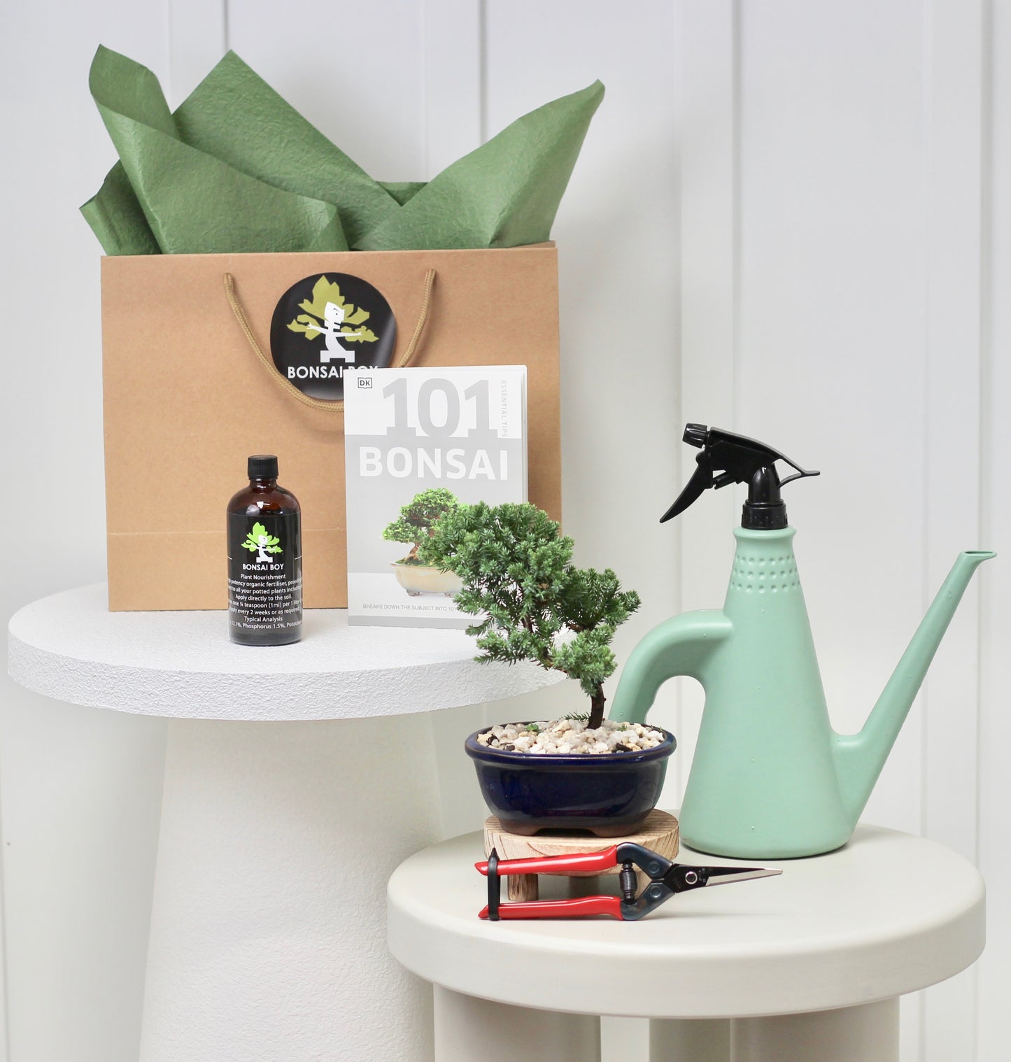 Bonsai Starter Kit - ジュニパー (Junipā) - 20cm