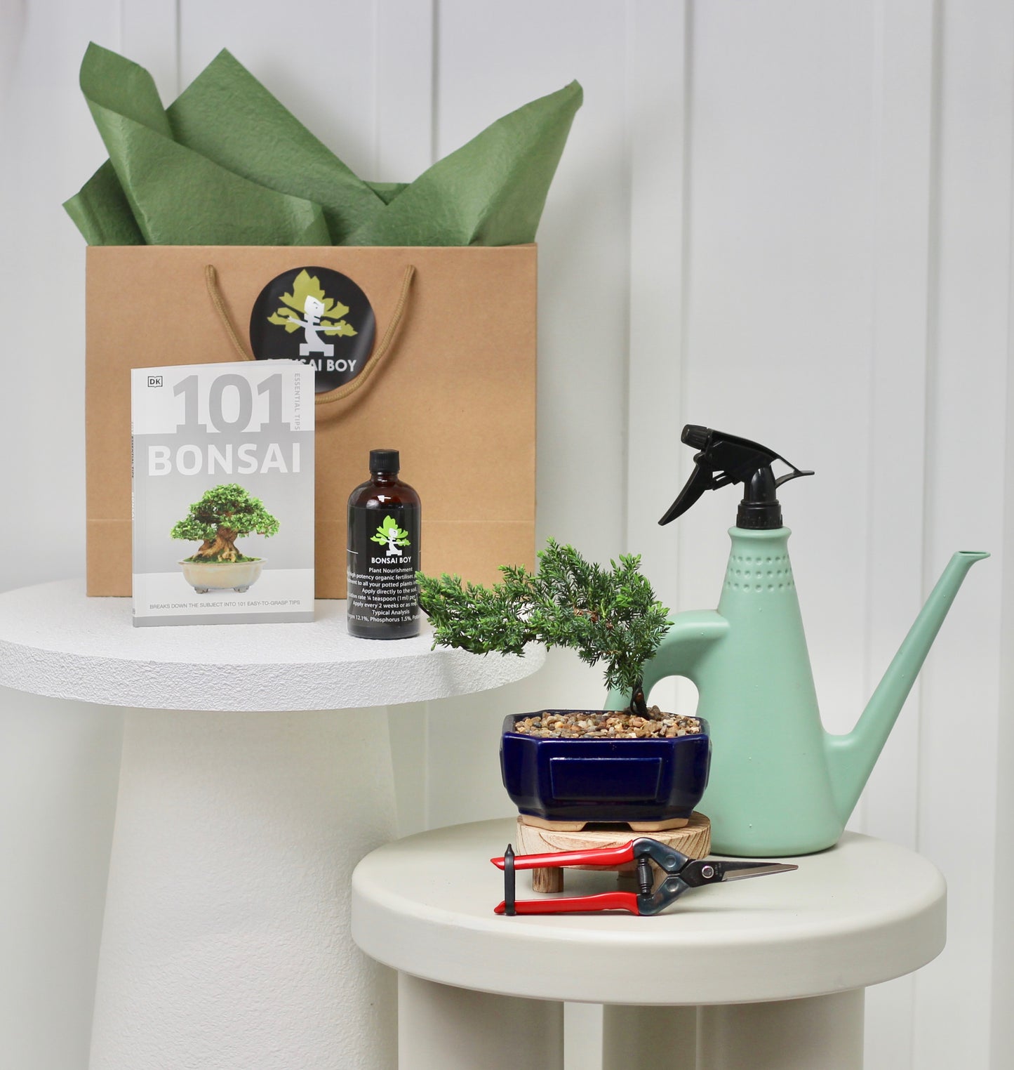 Bonsai Starter Kit - ジュニパー (Junipā) - 16cm