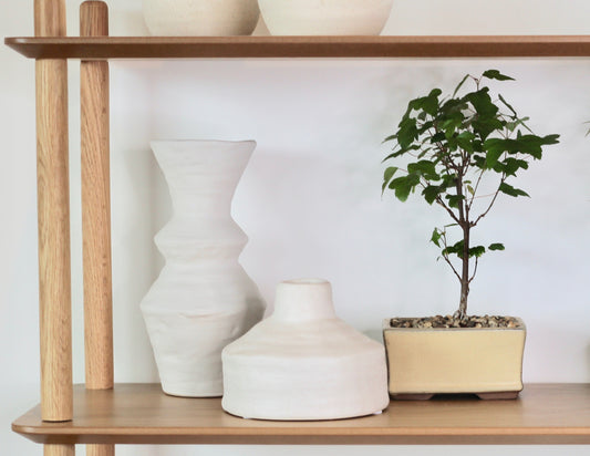 Bonsai - Trident Maple - Molly - 25cm