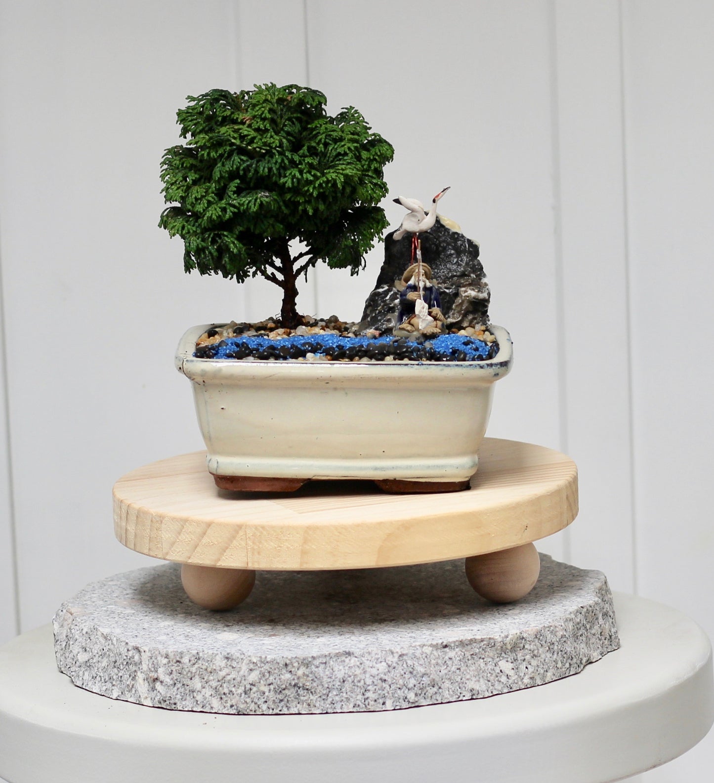 Bonsai - Juniper with Fisherman Setting- Frank - 16cm