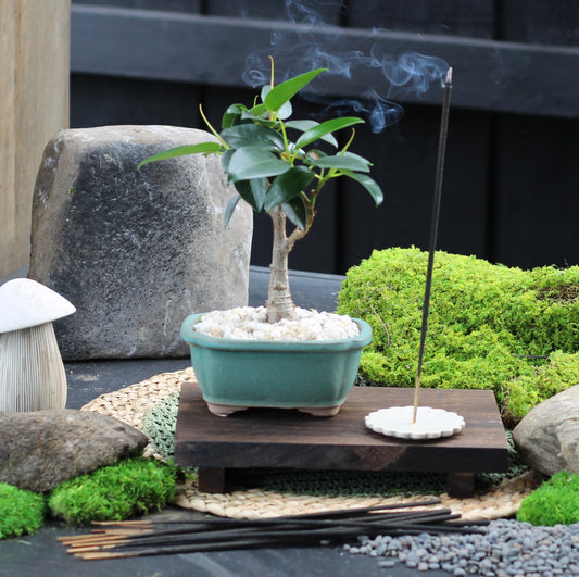 Incense Sticks With Timber Holder - Cotton Fragrance