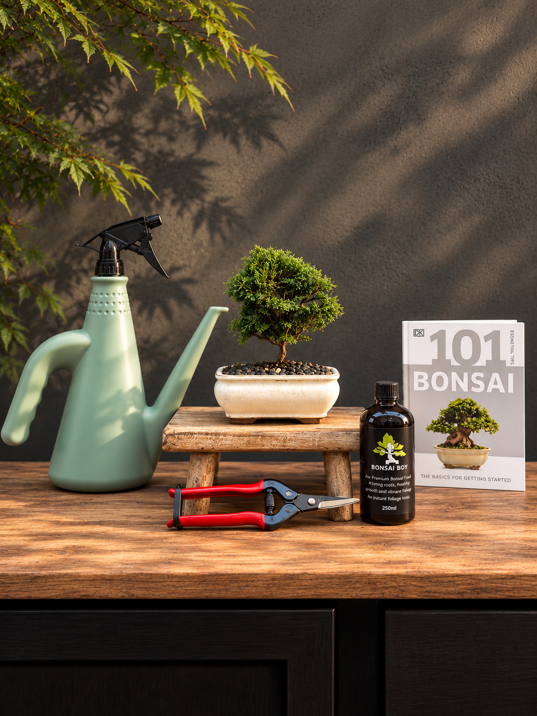 Bonsai Starter Kit