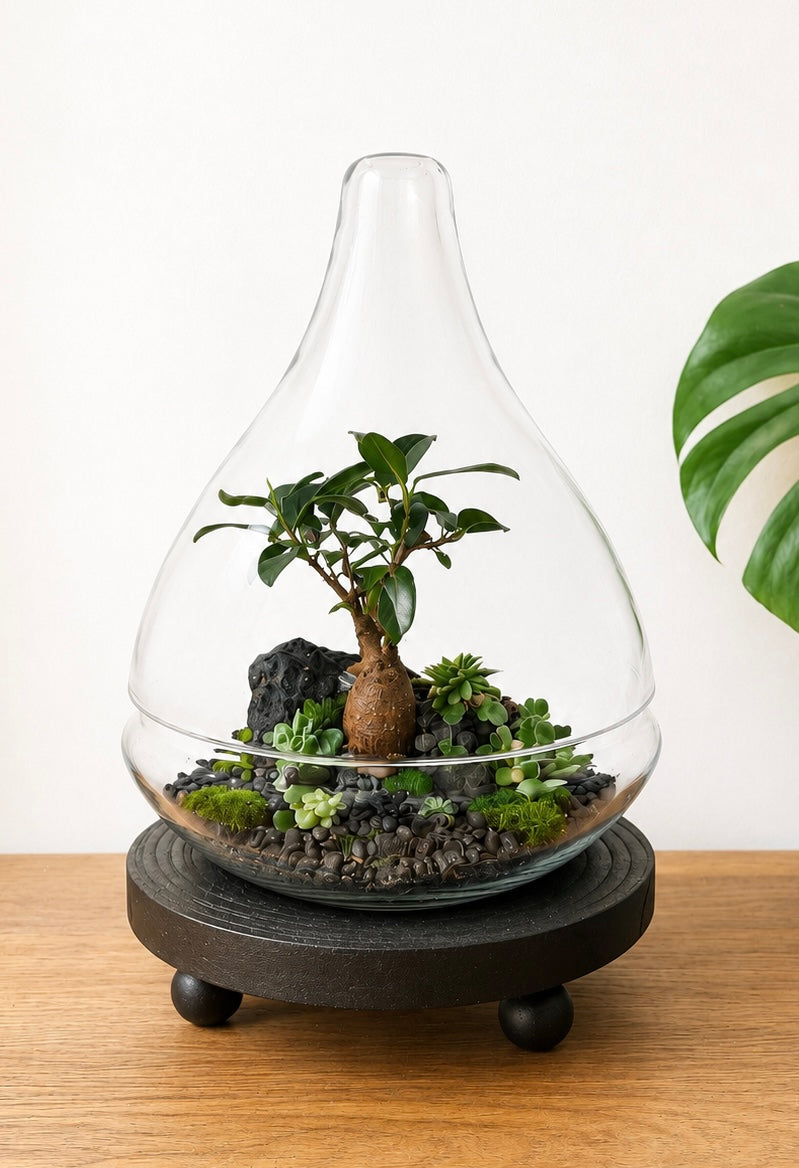 Bonsai Terrarium