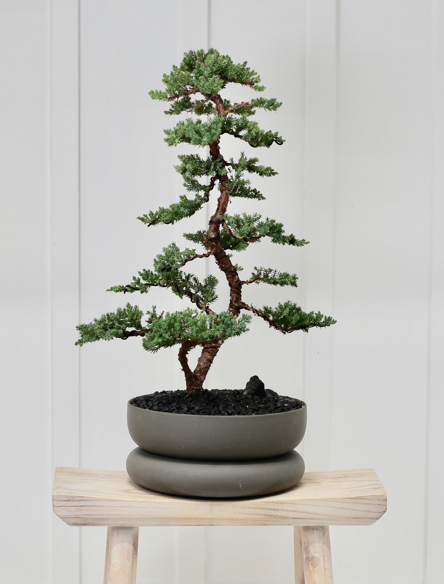 Hand Crafted Bonsai