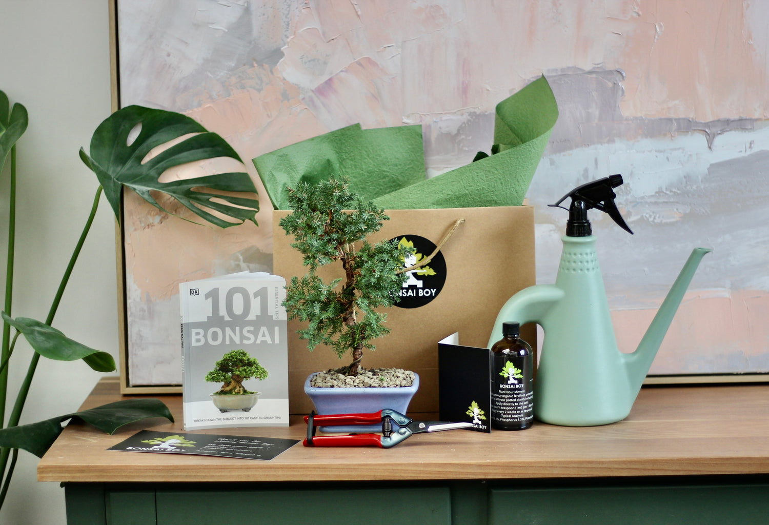 Bonsai Starter Kit