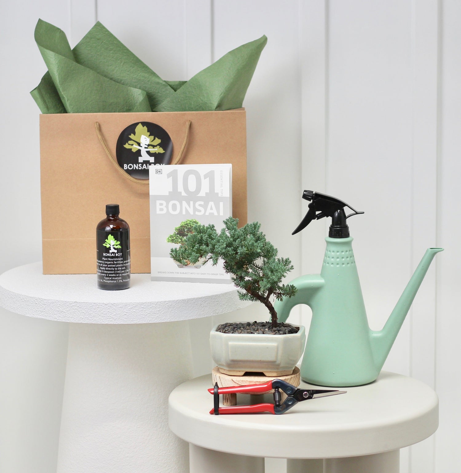 Bonsai Starter Kit