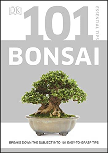 Bonsai Starter Kit - Juniper - Eivissa - 21cm