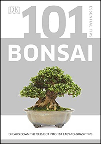 Bonsai Starter Kit - Juniper - 16cm