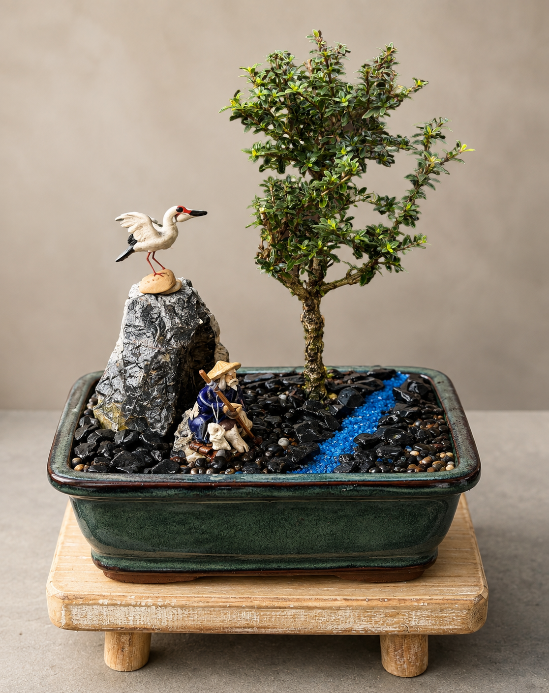 Bonsai - Pink Flowering Serissa - Fisherman Setting - 'Denver' - 15cm
