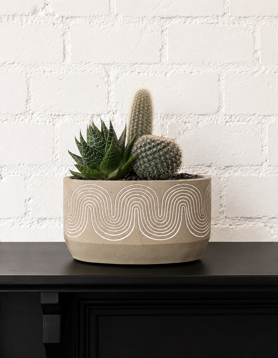 Cactus Dish in Curty Dish