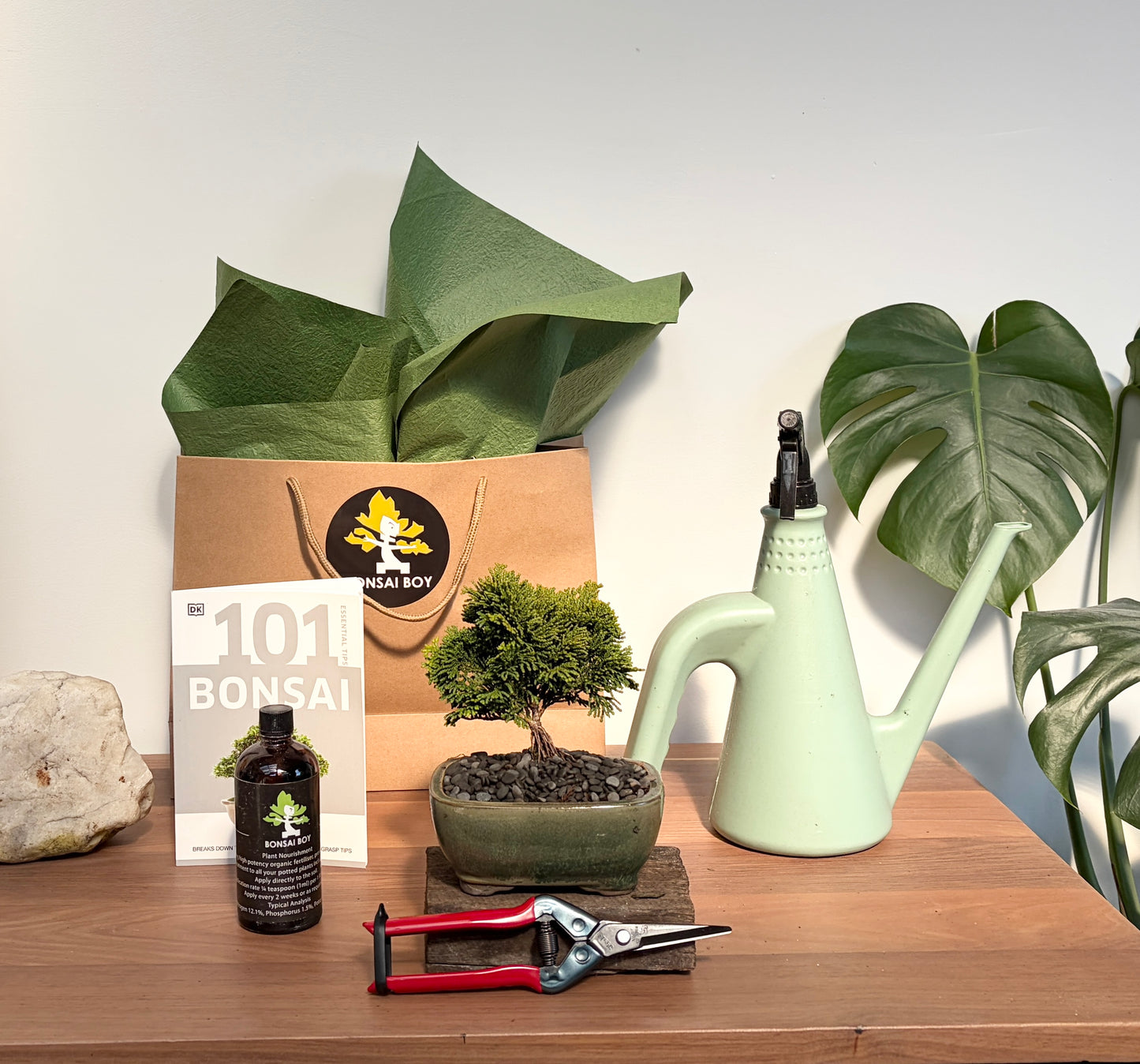 Bonsai Starter Kit - Conifer - Emmie - 24cm