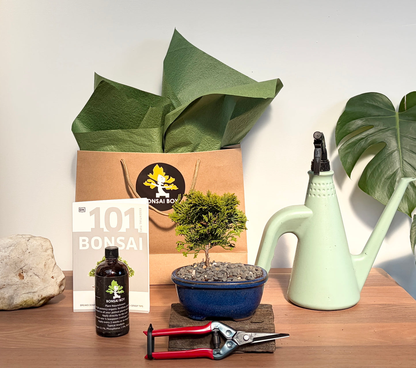 Bonsai Starter Kit - Conifer - Winter - 24cm