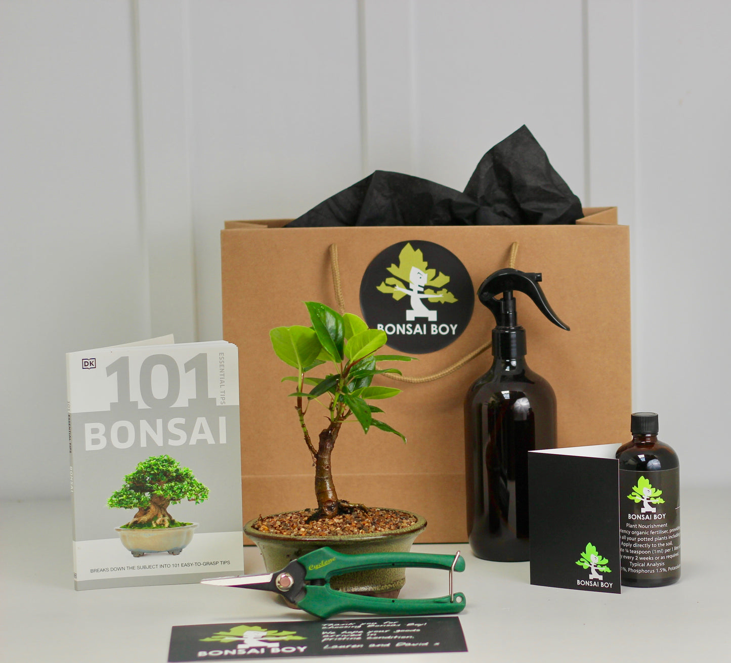 Bonsai Starter Kit - Port Jackson Fig - 18cm