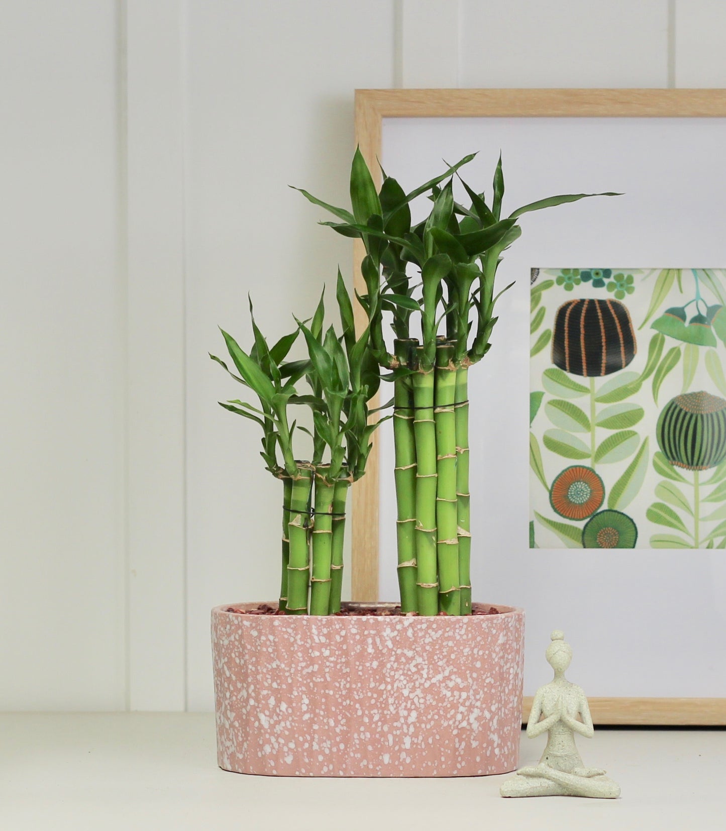 Lucky Bamboo - Haruki - 38cm