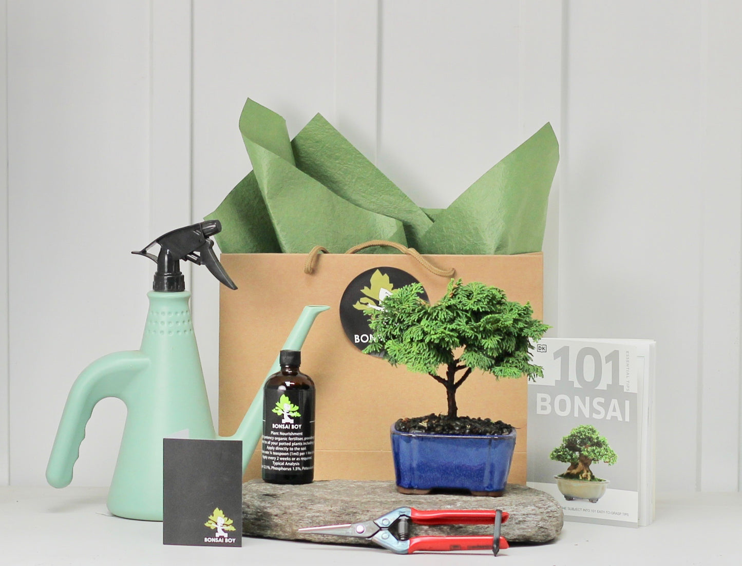 Bonsai Starter Kit - Conifer - 針葉樹の - 16cm