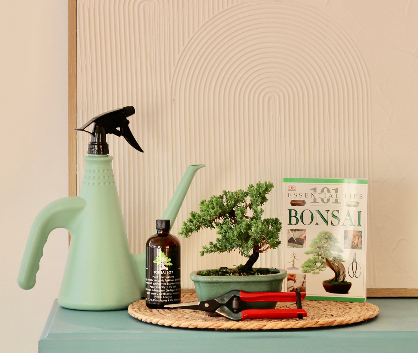 Bonsai Starter Kit - ジュニパー (Junipā) - 16cm