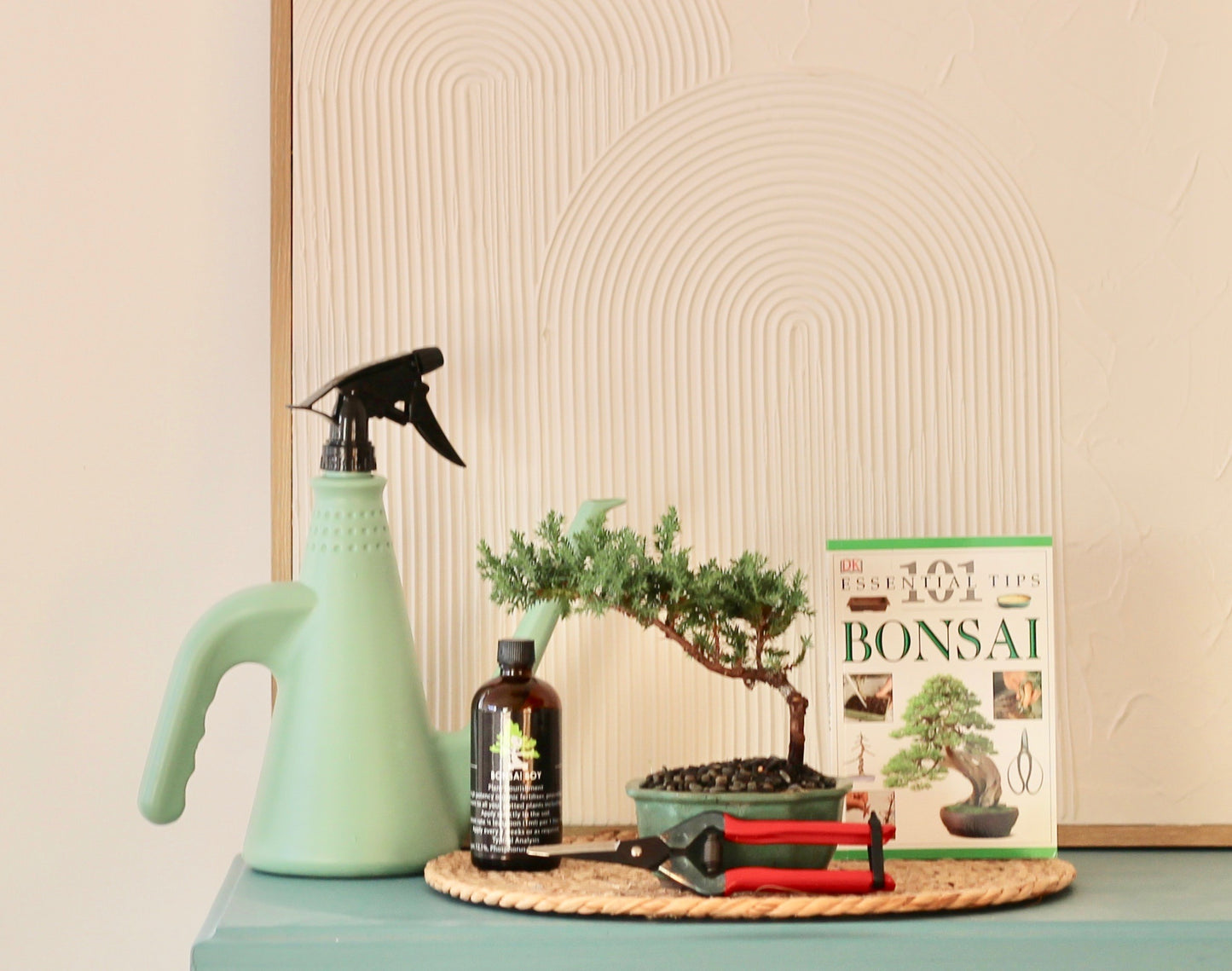 Bonsai Starter Kit - ジュニパー (Junipā) - 16cm