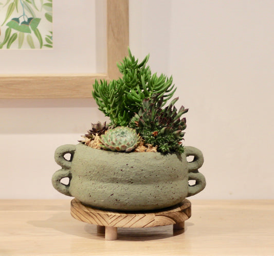 Larger Bonsai Timber Stand