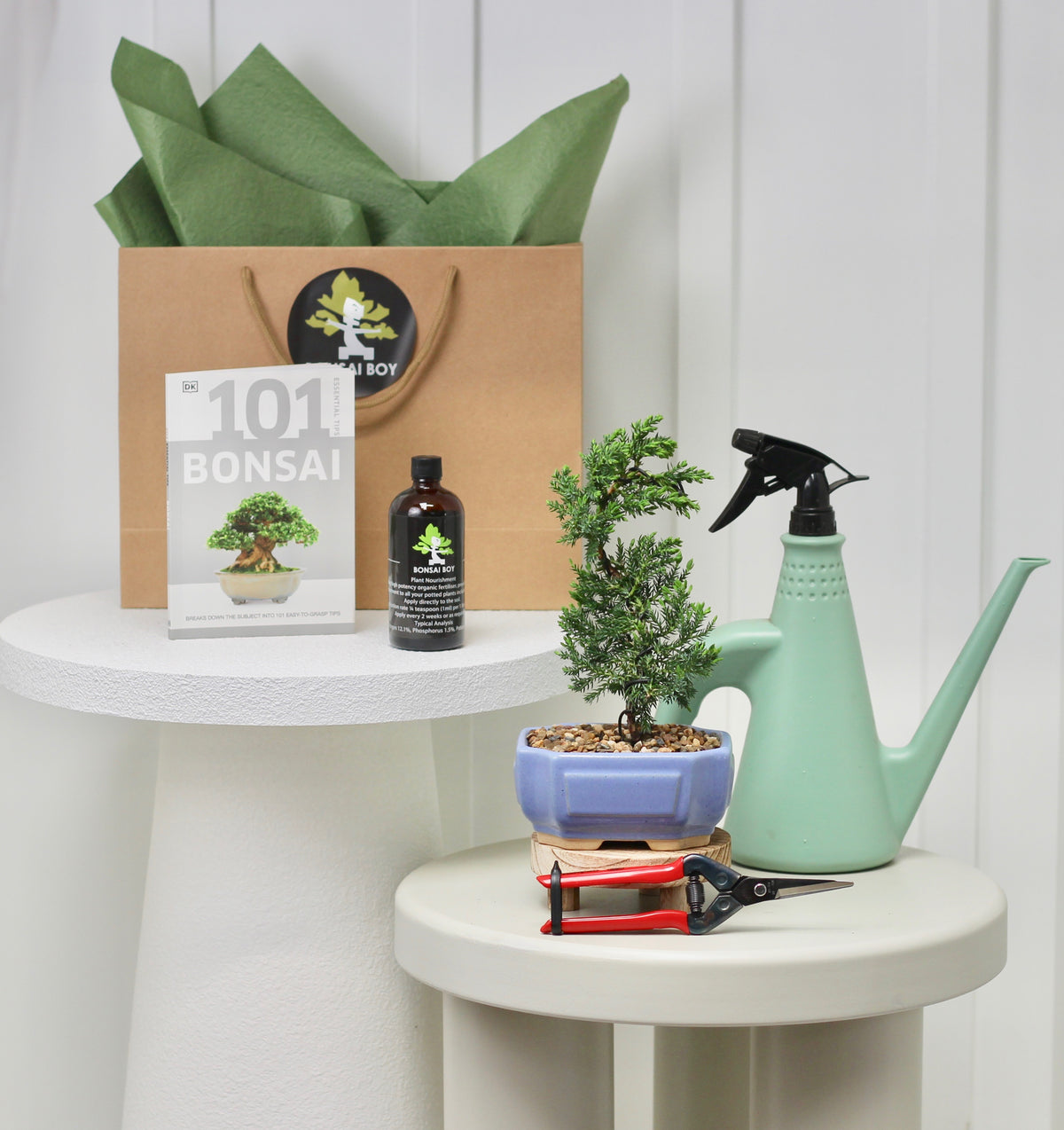 Bonsai Starter Kit - ジュニパー (Junipā) - 28cm