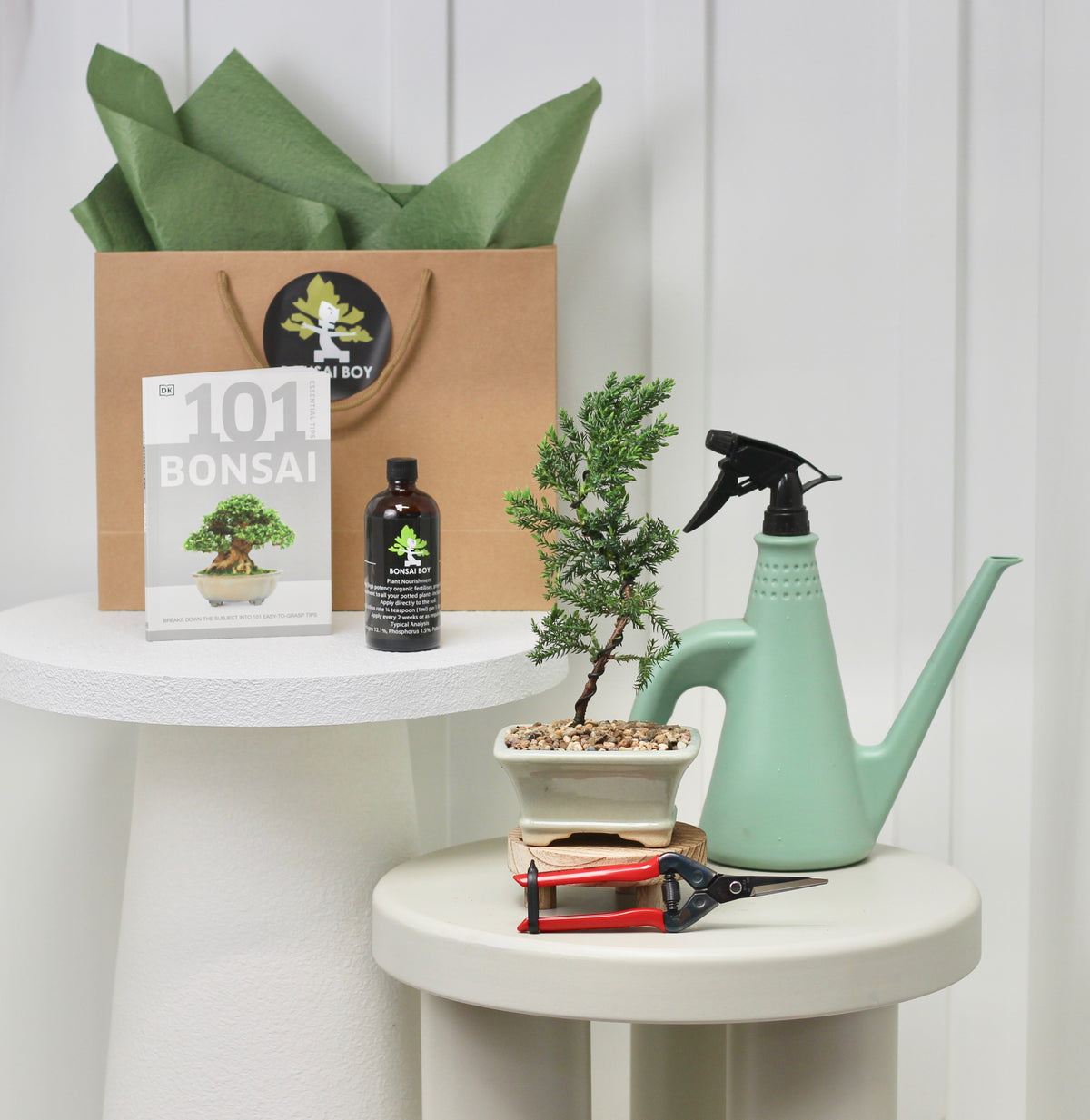 Bonsai Starter Kit - ジュニパー (Junipā) - 28cm
