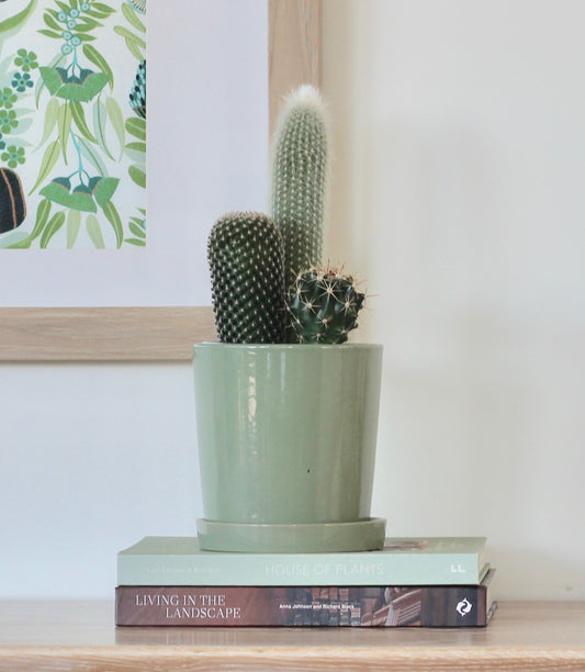 Desert Vessel