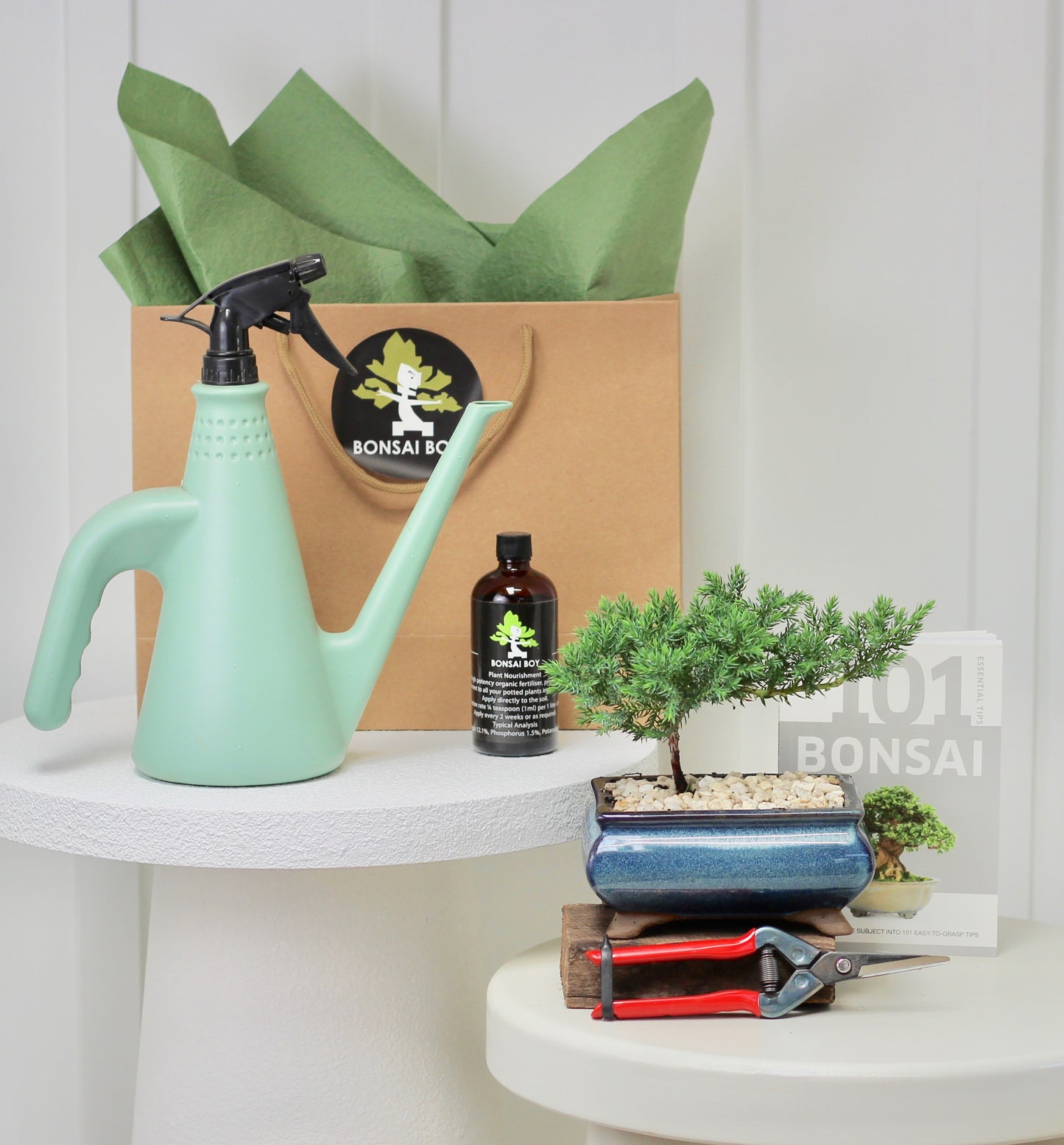 Bonsai Starter Kit - ジュニパー (Junipā) - 18cm