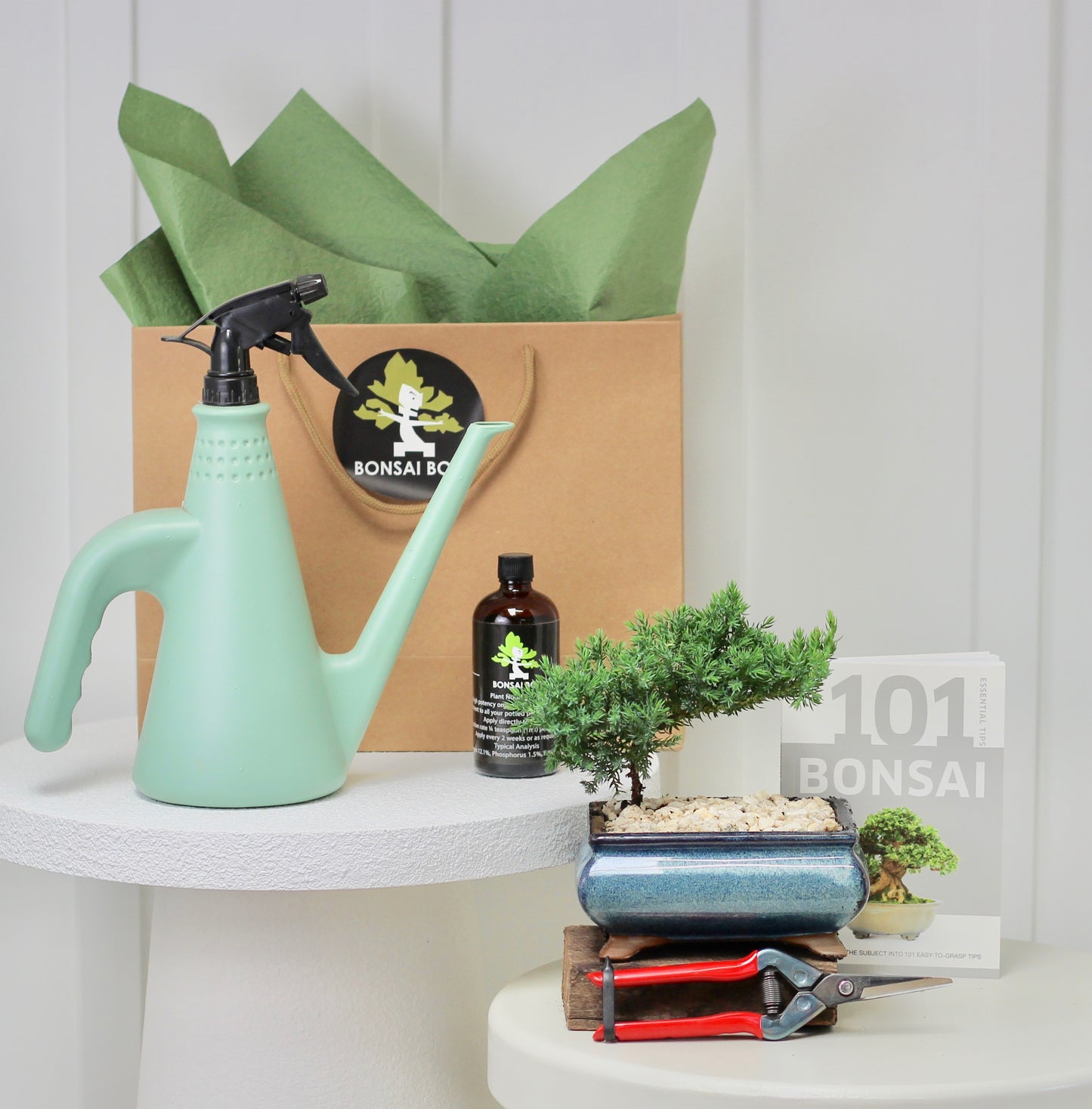 Bonsai Starter Kit - ジュニパー (Junipā) - 18cm