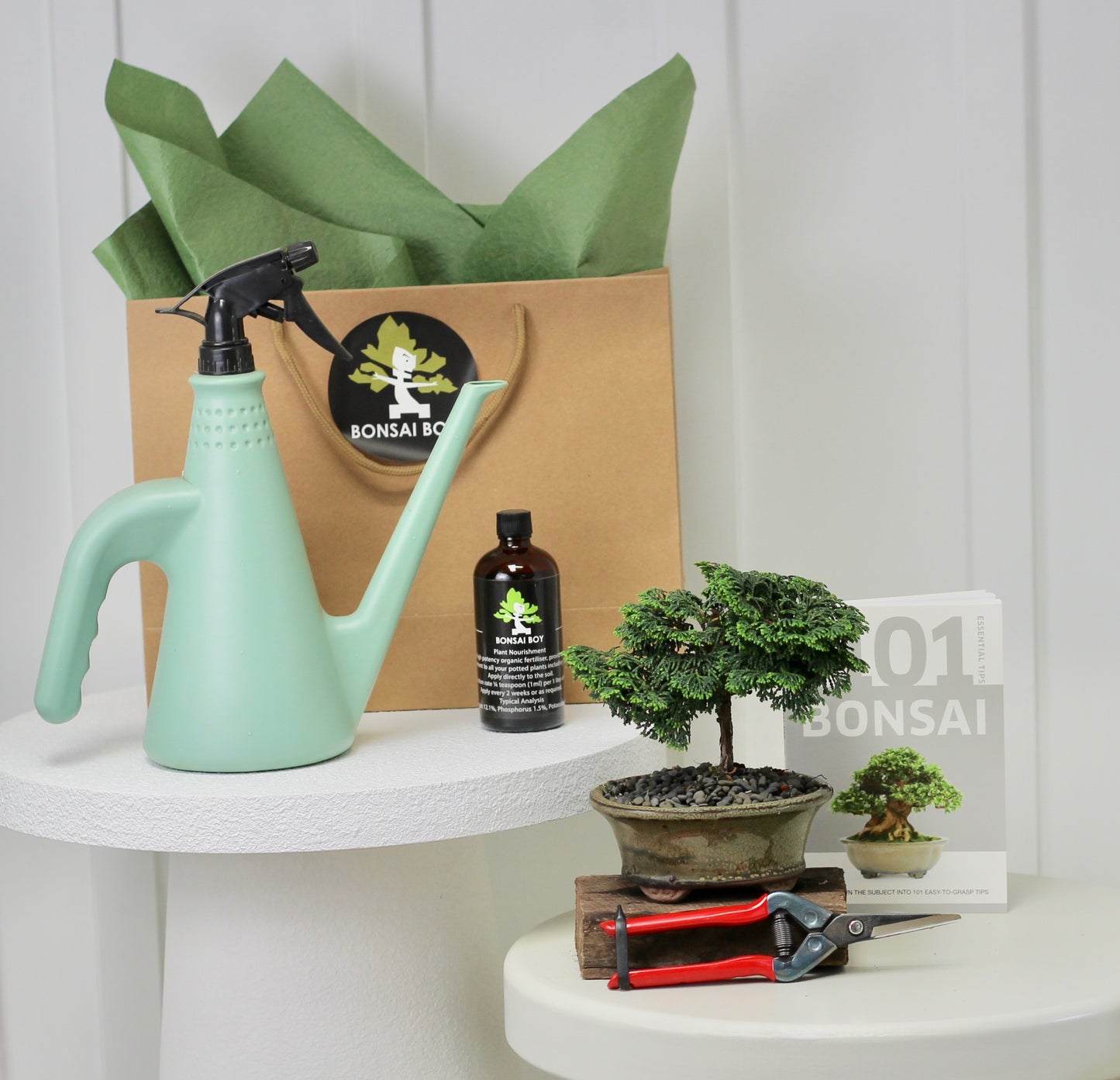 Bonsai Starter Kit - Conifer - 針葉樹の - 16cm