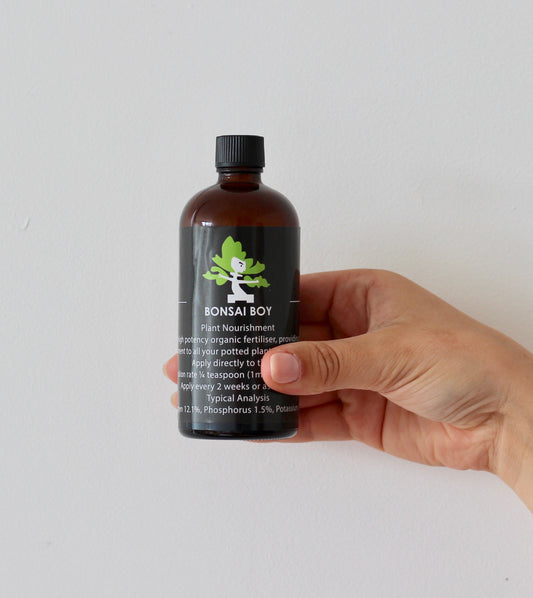 Bonsai Plant Nourishment