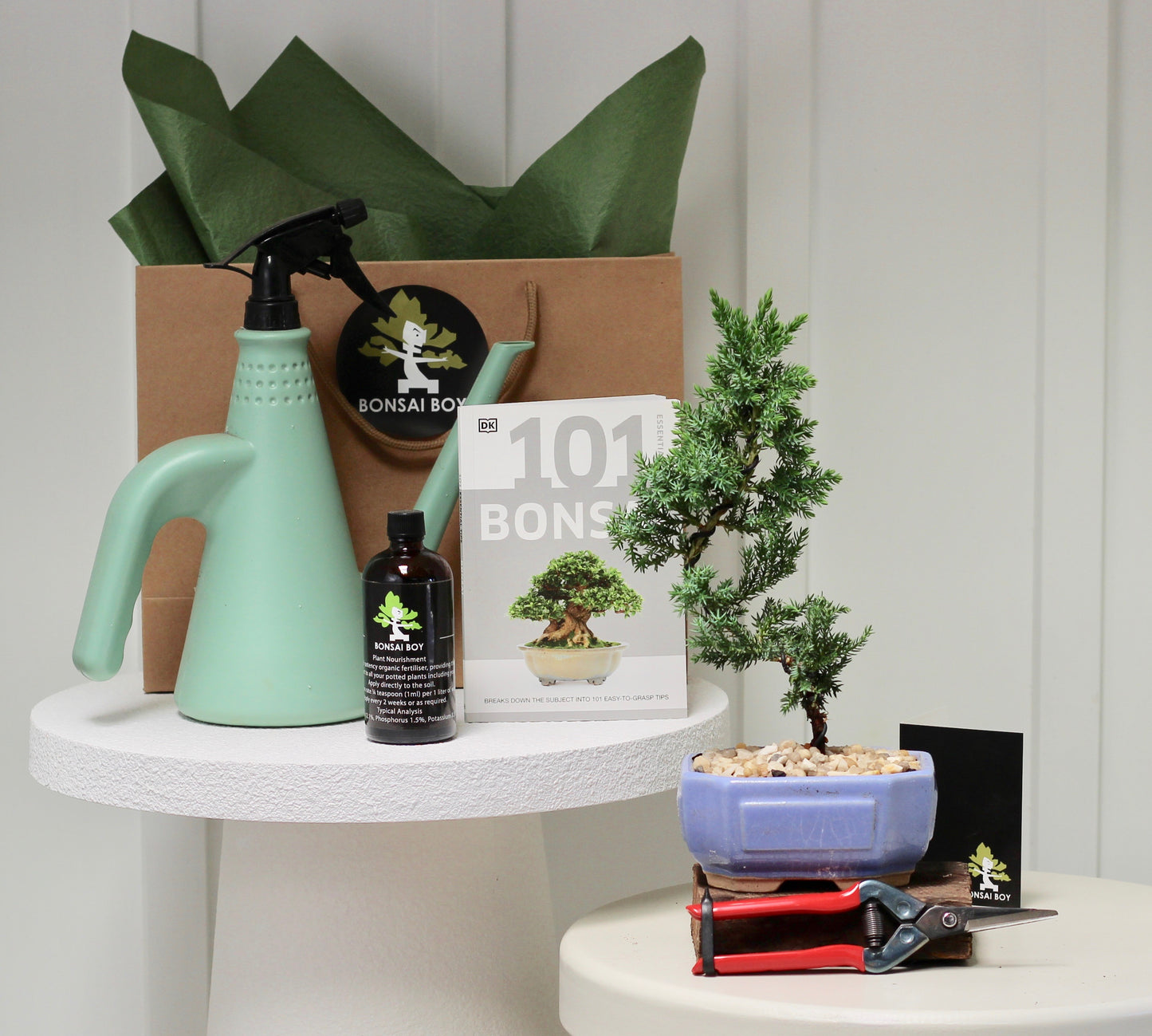 Bonsai Starter Kit - Harold - 18cm