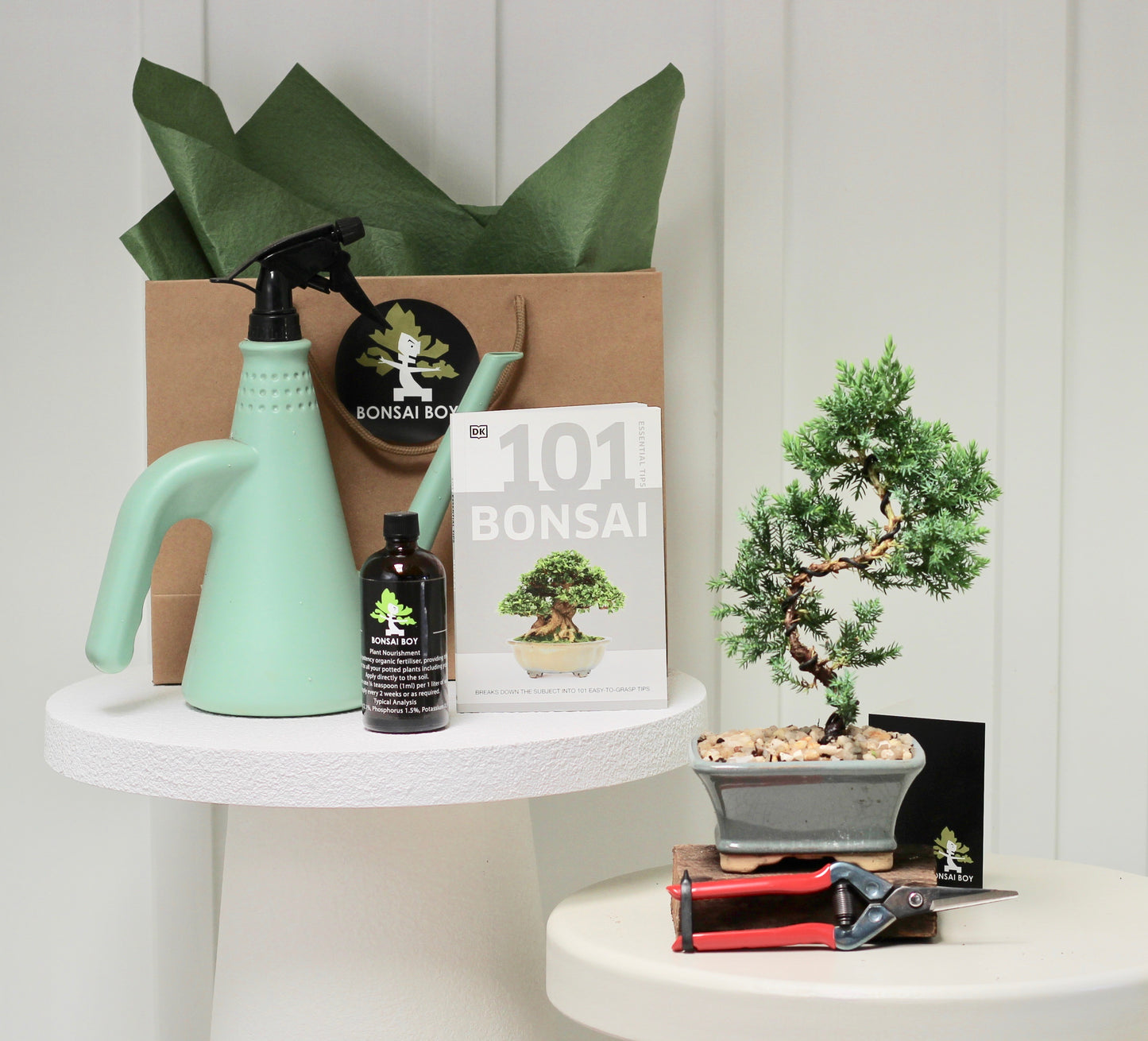 Bonsai Starter Kit - Leo - 22cm