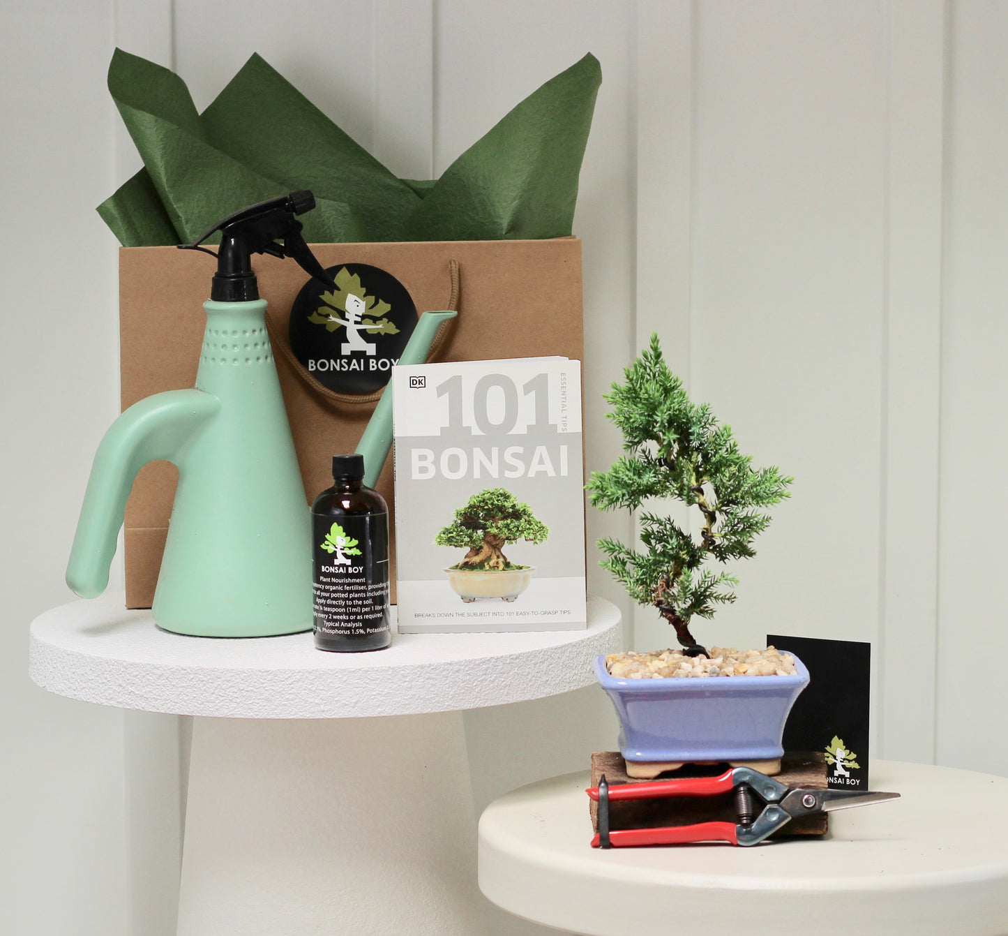 Bonsai Starter Kit - Fenix - 22cm