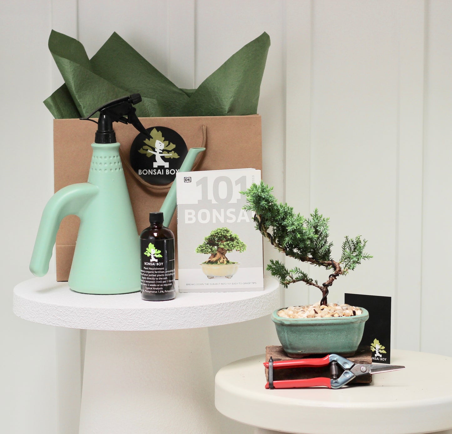 Bonsai Starter Kit - Archie - 20cm