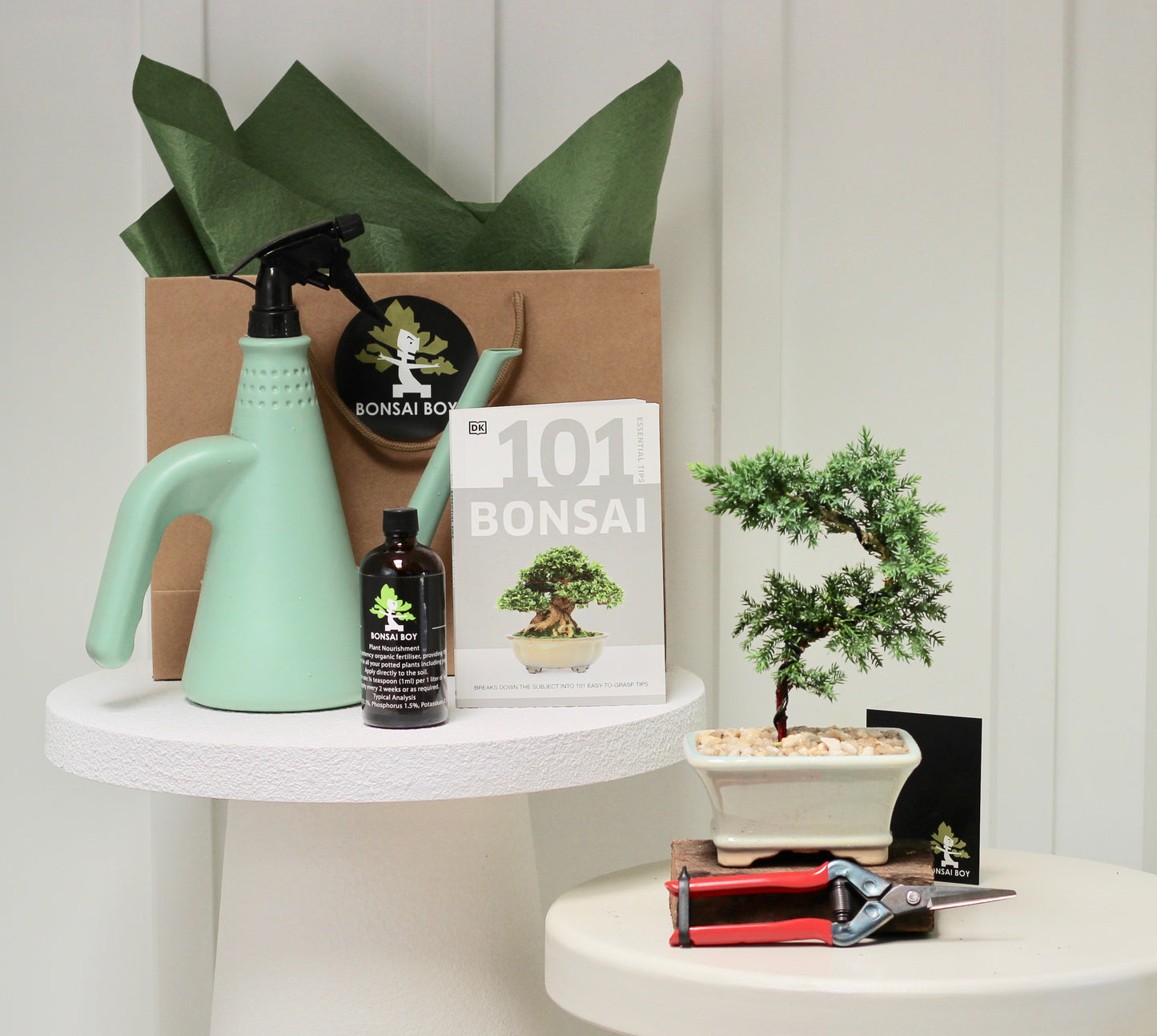 Bonsai Starter Kit - Isla - 20cm (Copy)