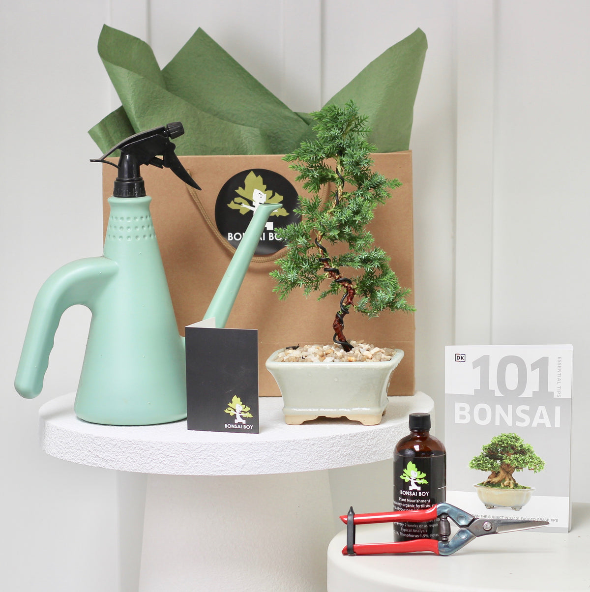Bonsai Starter Kit - Cooper - 32cm