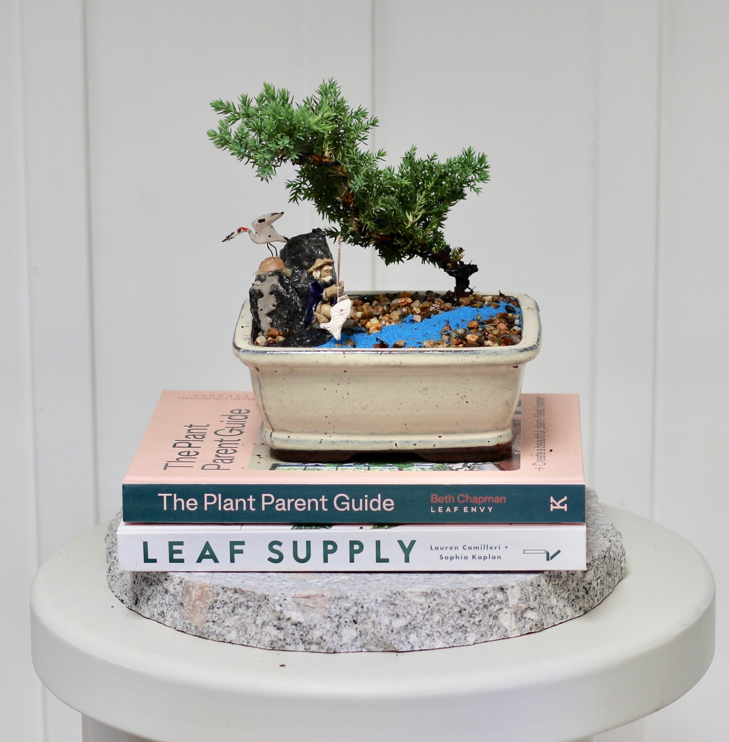 Bonsai - Juniper with Fisherman Setting- Matt -  18cm