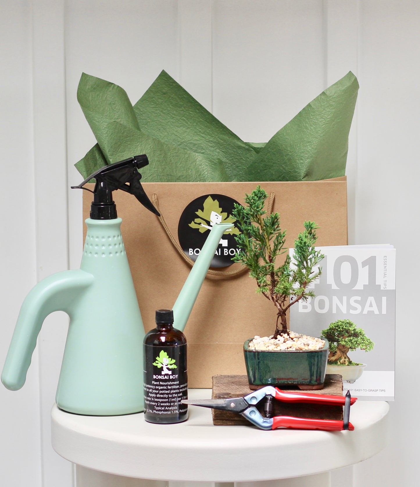 Bonsai Starter Kit - ジュニパー Khan - 23cm