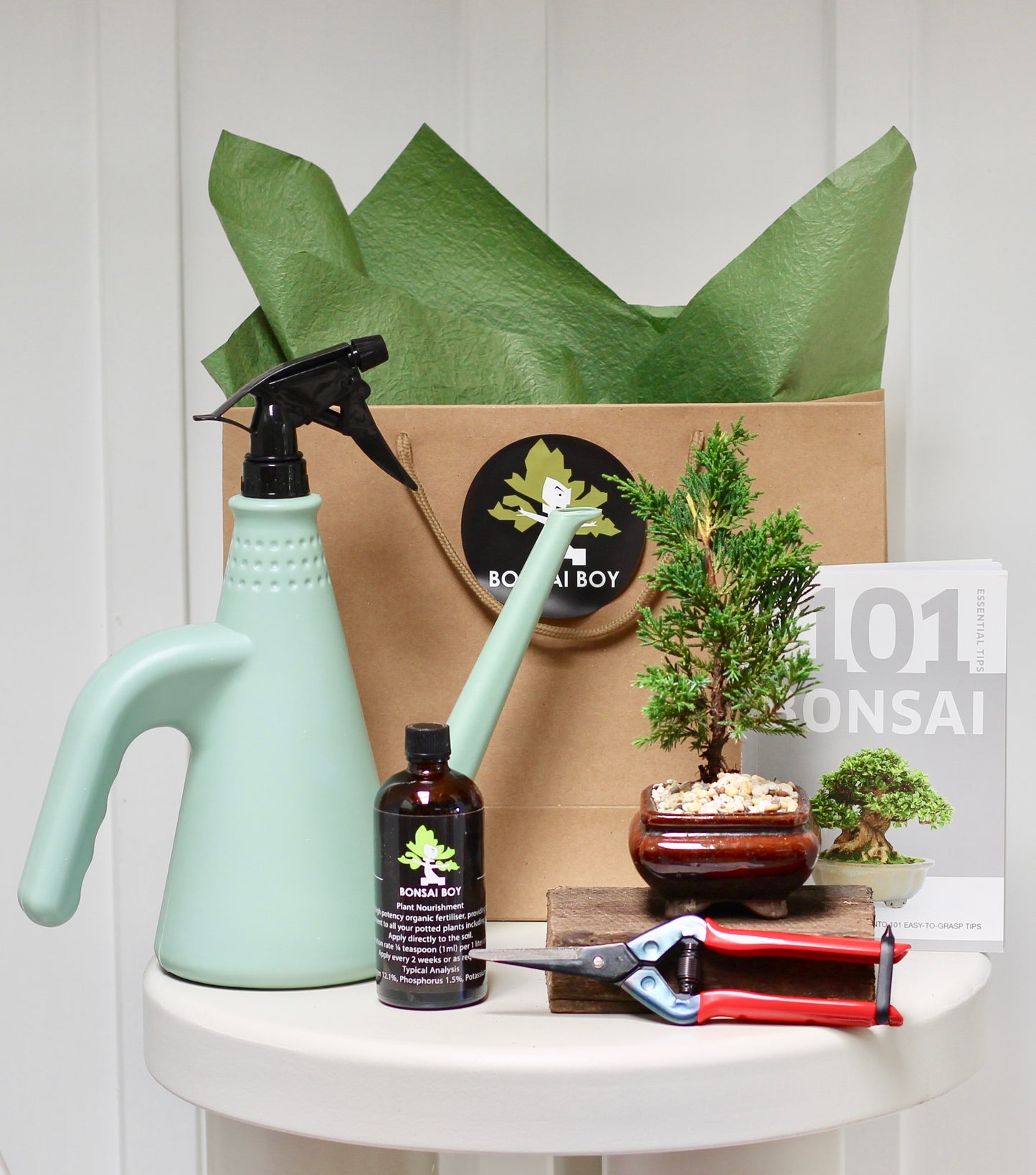 Bonsai Starter Kit - ジュニパー Olive - 23cm