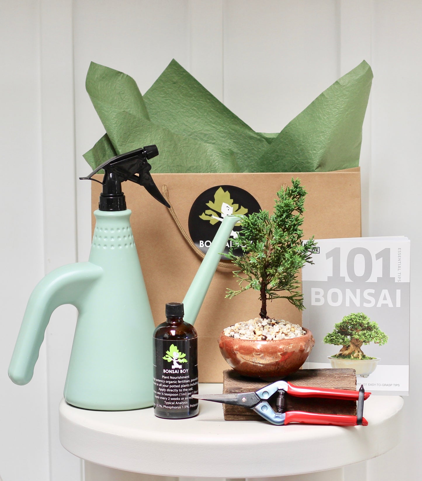 Bonsai Starter Kit - ジュニパー Yolanda - 23cm