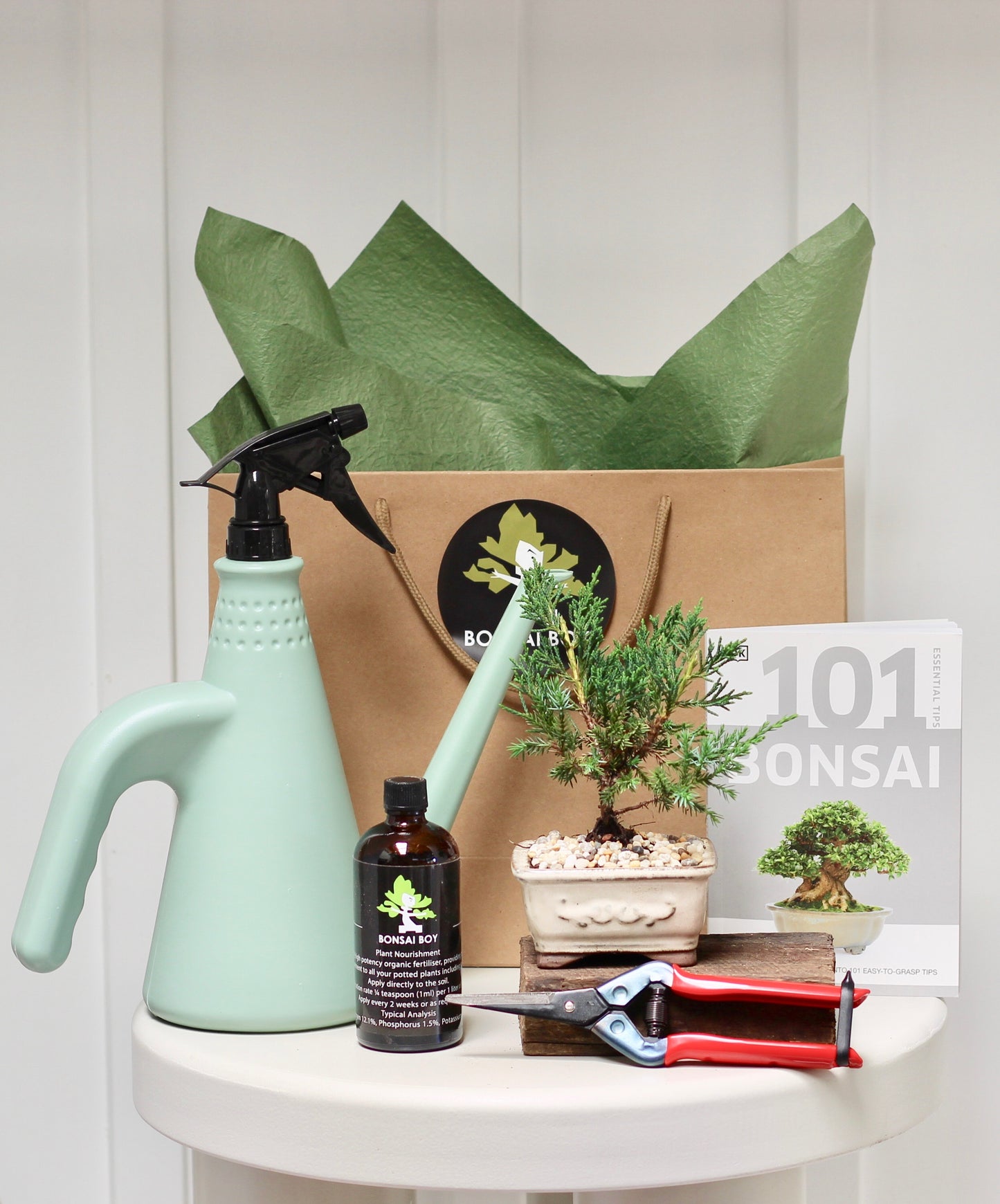 Bonsai Starter Kit - ジュニパー Henrietta - 23cm